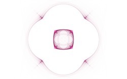 2014 04 30 Webs and Things 01-white.jpg